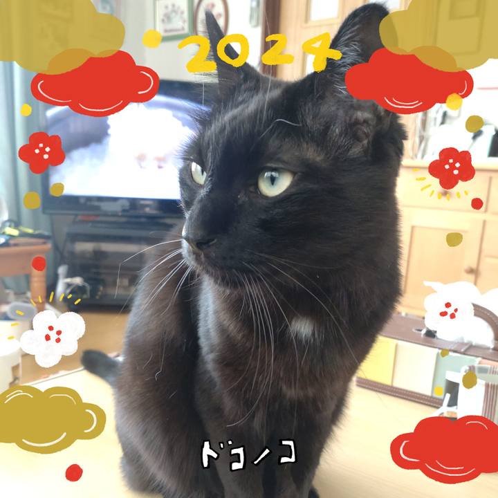 Ad540848 5303 4940 95fe 7f68a747317b 1704161037079