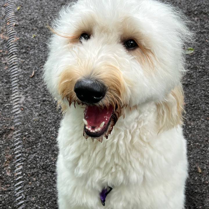 Ad547a8e 2aa3 4202 b0d4 c34ab9a4c0ce 1749978274079