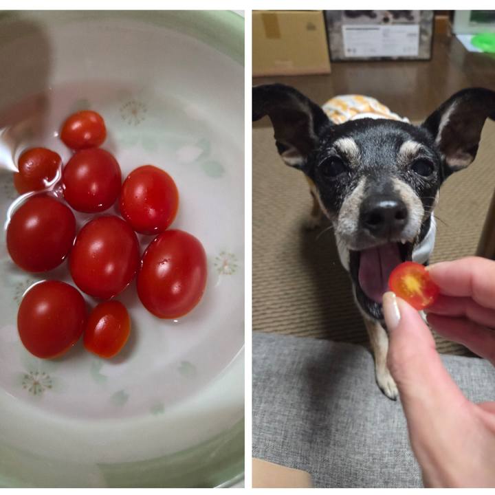 Ad548232 f040 4d6b a022 921e070fb067 1755603170698