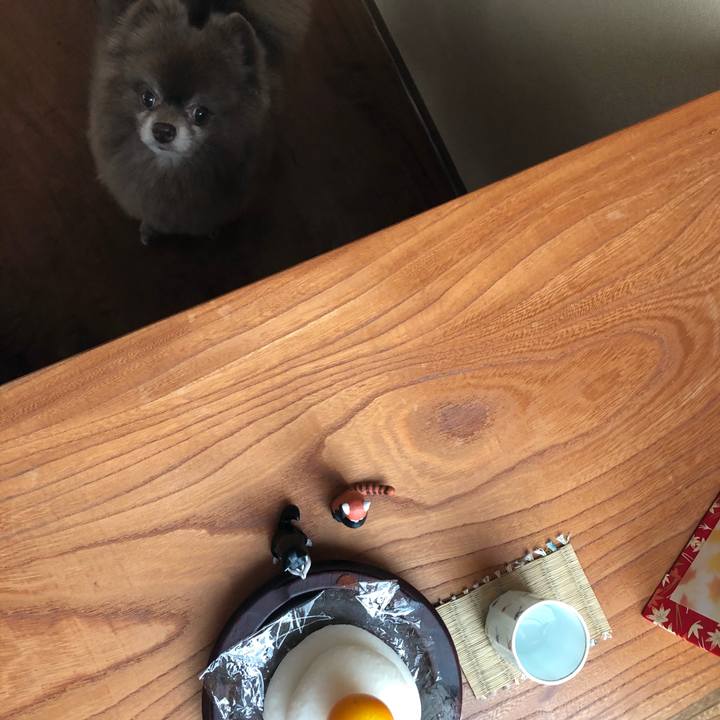 Ad54ae39 f9e5 438c 9a8a fa7fd6cd6ada 1546227879308