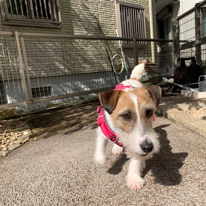 Ad54f35b 2717 47dc 82f6 69becf1cc57e 1584252815077