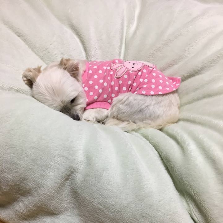 Ad550d71 d22c 4684 a918 594ff45ea3fd 1551781804553