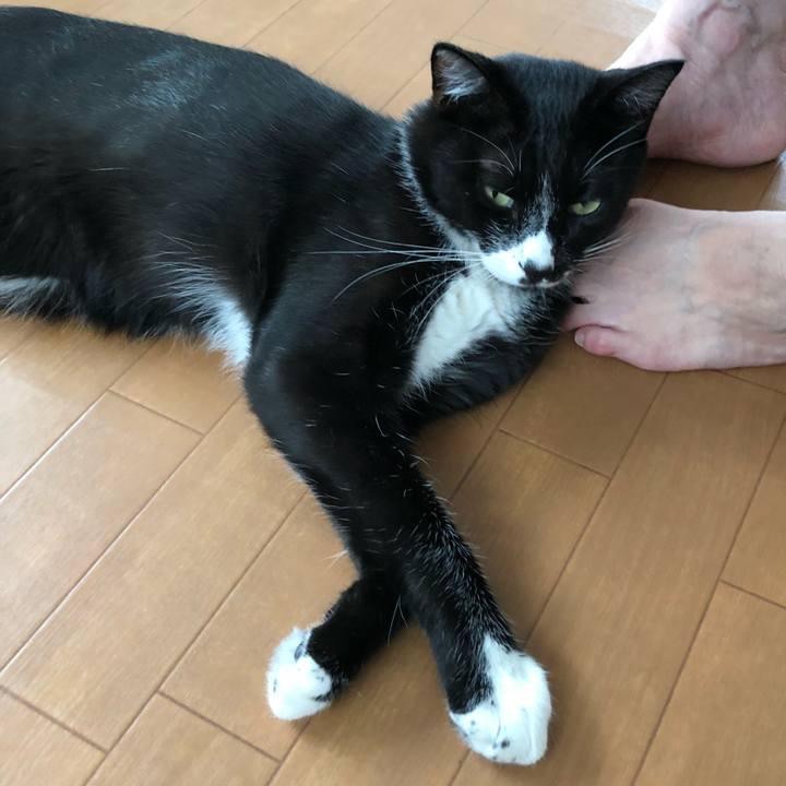 Ad551747 47f2 4768 8c42 28b80c98a965 1536290812237