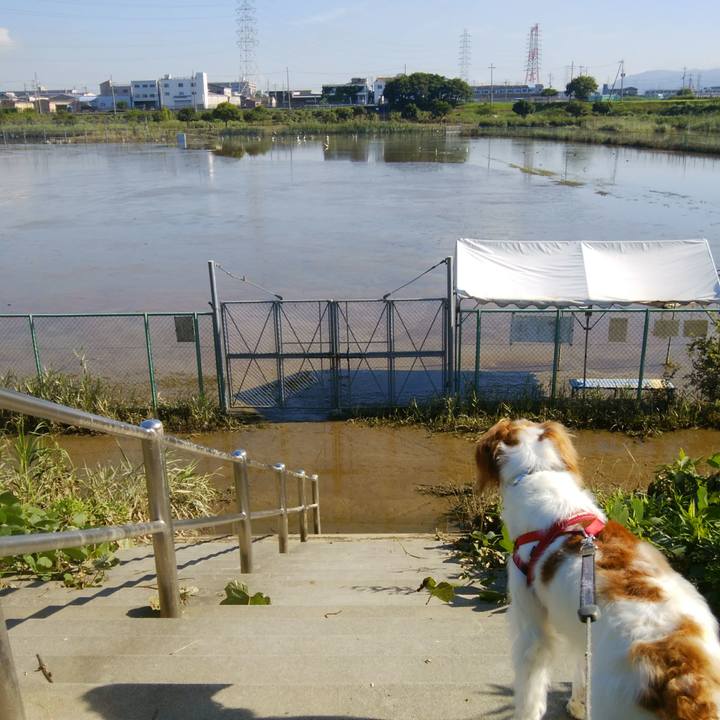 Ad5567af 4bda 408f b498 8068eb18a692 1531186102395