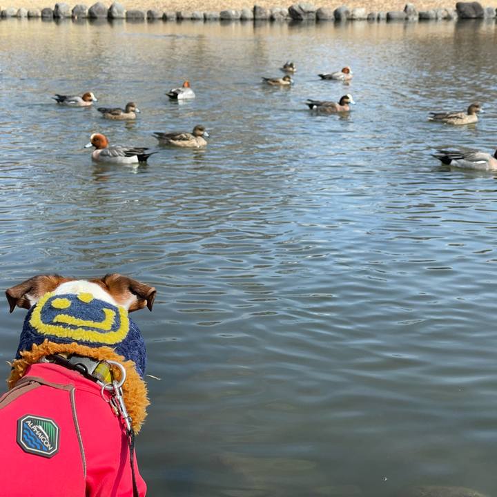 Ad558600 b914 4ac0 98f0 be69946a626e 1646642079921