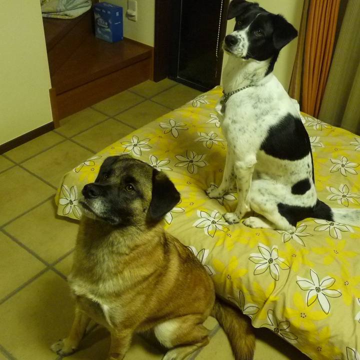 Ad55a7fc 8bc3 4b67 9afa 6060f81fc38a 1683336085312