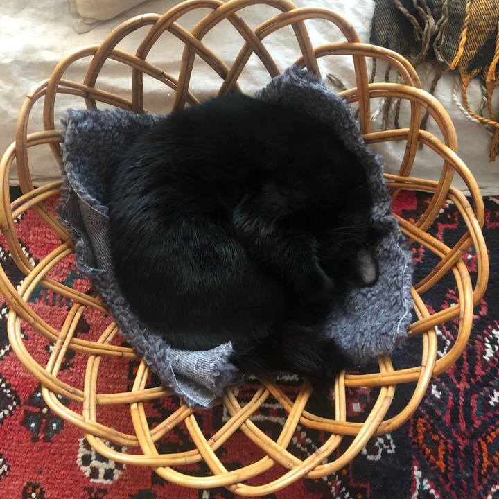 Ad55b73a 571e 4f26 b3d9 7726156091b3 1586419790231