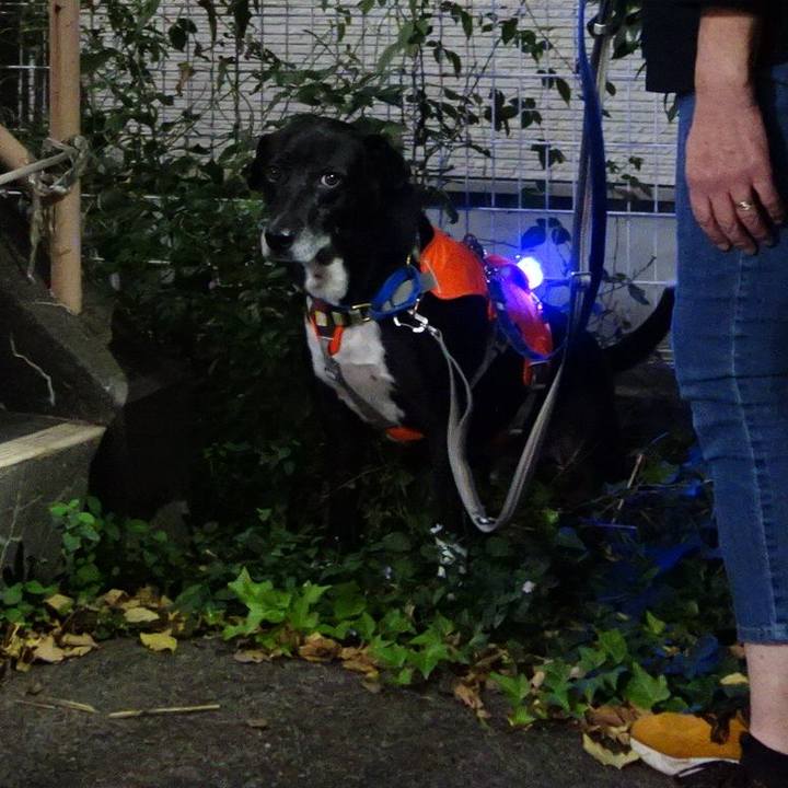 Ad55c5a7 4fc0 46c3 975a cd46fc4a440d 1728987615221