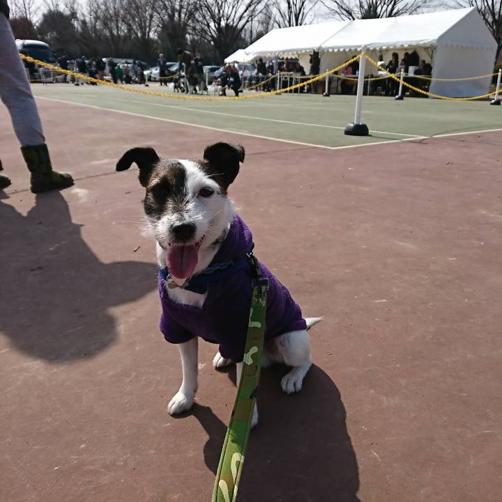 Ad56365d 7c6b 40f6 abb6 dafd1aa32870 1520742920588