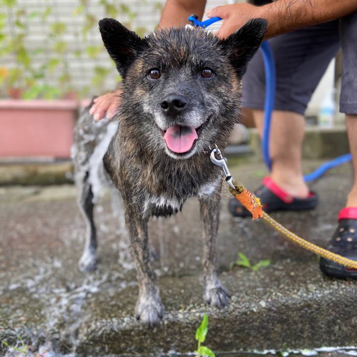 Ad564b9c 768f 4c07 af55 34aa87b87d31 1597013000576