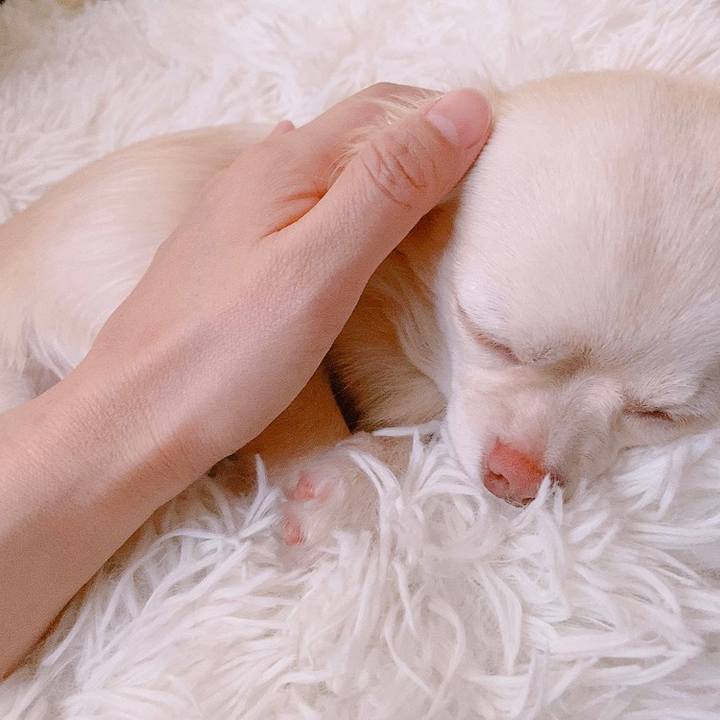 Ad567162 f7ee 4120 9529 9257d5fbe4a2 1624308384682