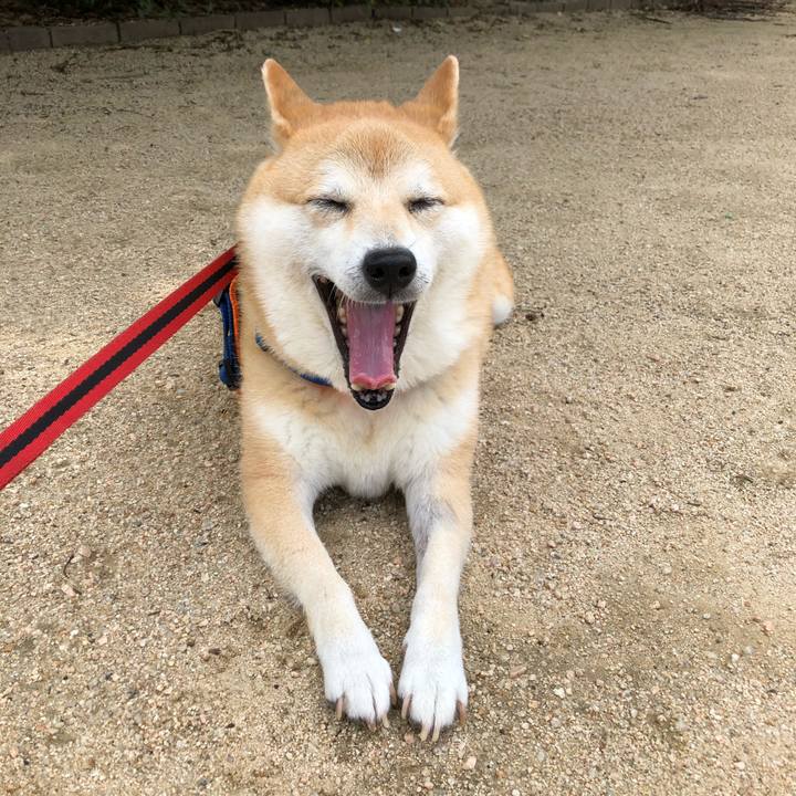 Ad567c1e a5cb 4993 b69c ab1e2c88d5e9 1562892184720