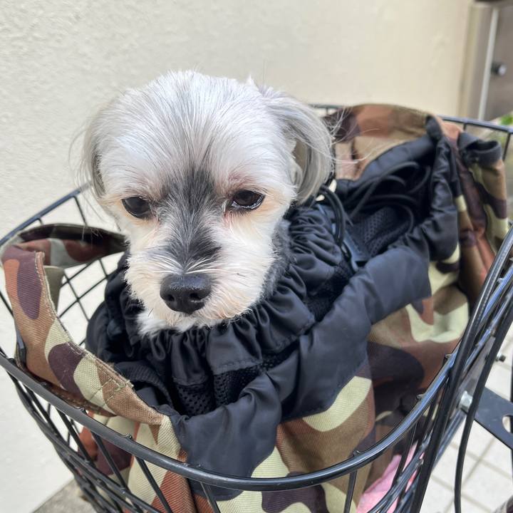 Ad56a1b8 1371 4e66 9172 15315e08f8ae 1761817330835