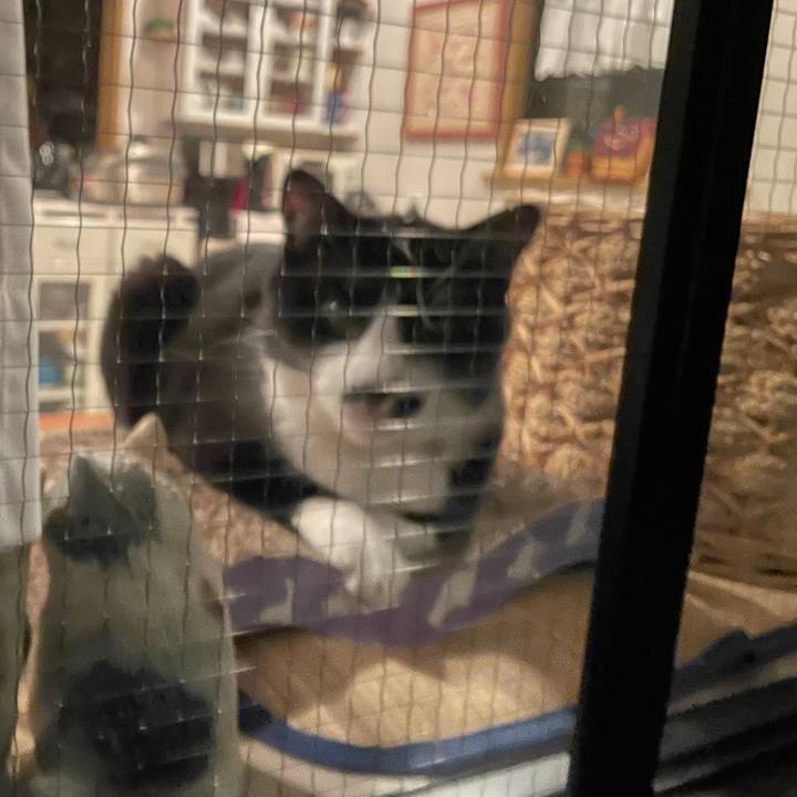 Ad56b365 2777 43d4 8e07 11f6fa3daf87 1657717155470