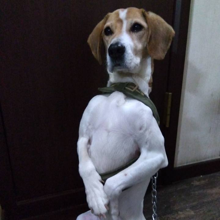 Ad56c519 ed46 491c 9677 1576c87c2ad8 1678363144946