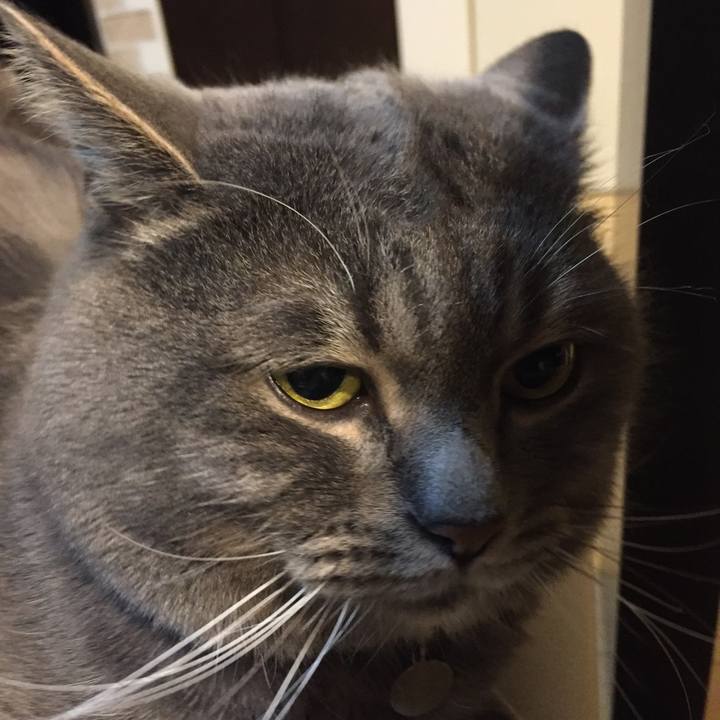 Ad5710f6 0ef8 4af3 a518 e48018eed043 1513209463333