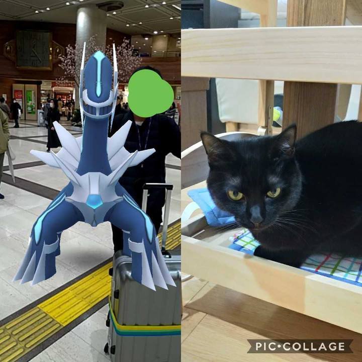 Ad575cfb d8d2 4920 aefa e016444cc65b 1551670757971