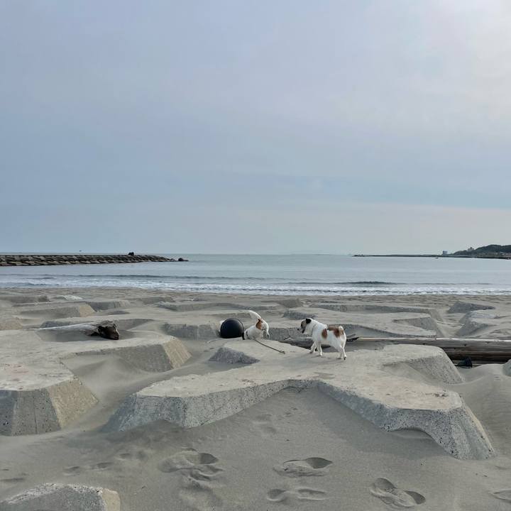 Ad5762f0 2836 496b 8147 59dda7370bd6 1683940901969