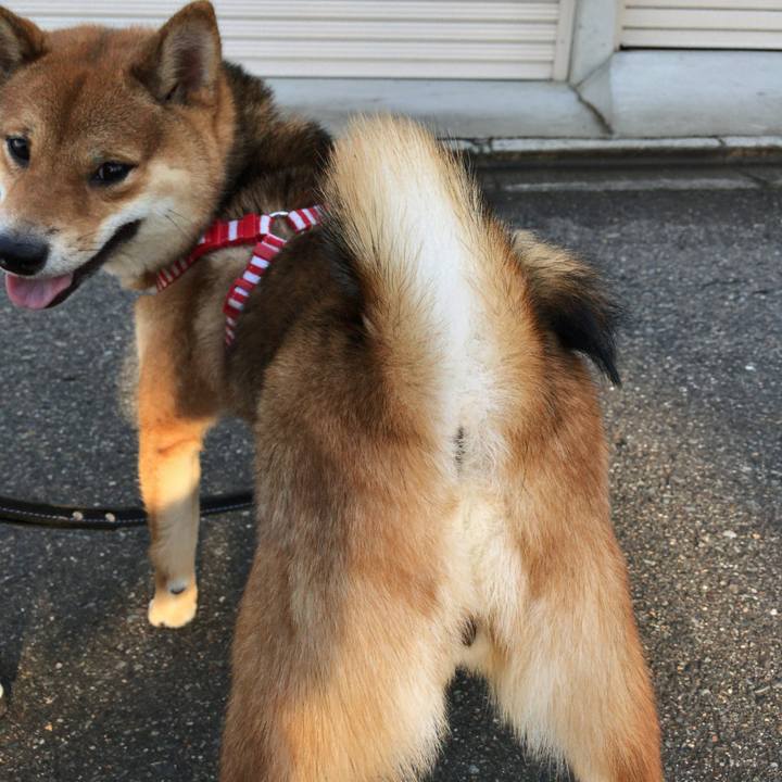 Ad57a584 3b30 422b 82ad 3c3f8759cb2e 1523259884358