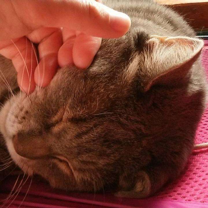 Ad57ab67 917c 4ab6 98cc b3c166863938 1541811792577