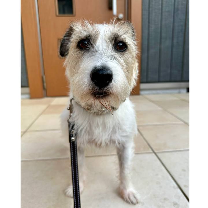 Ad57d31e bfcf 430a b04b 011ee54387a6 1759696144614