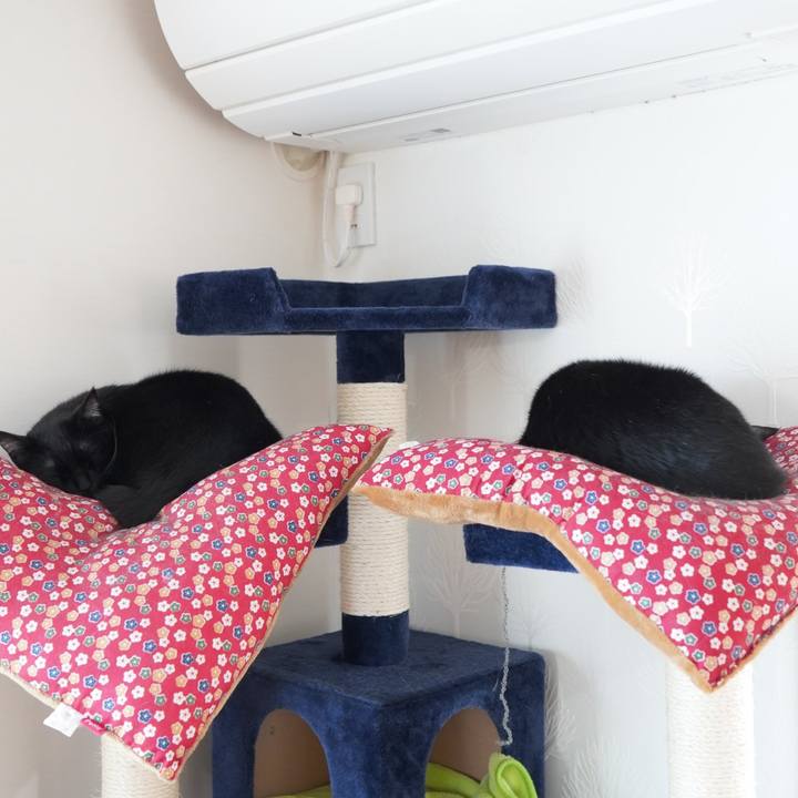 Ad57e4dc 210c 4da2 8081 2ba0dbc0ee43 1585577091310