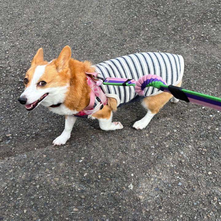 Ad57f649 e3e1 4a33 9d01 c1a6ab50b147 1762314490459