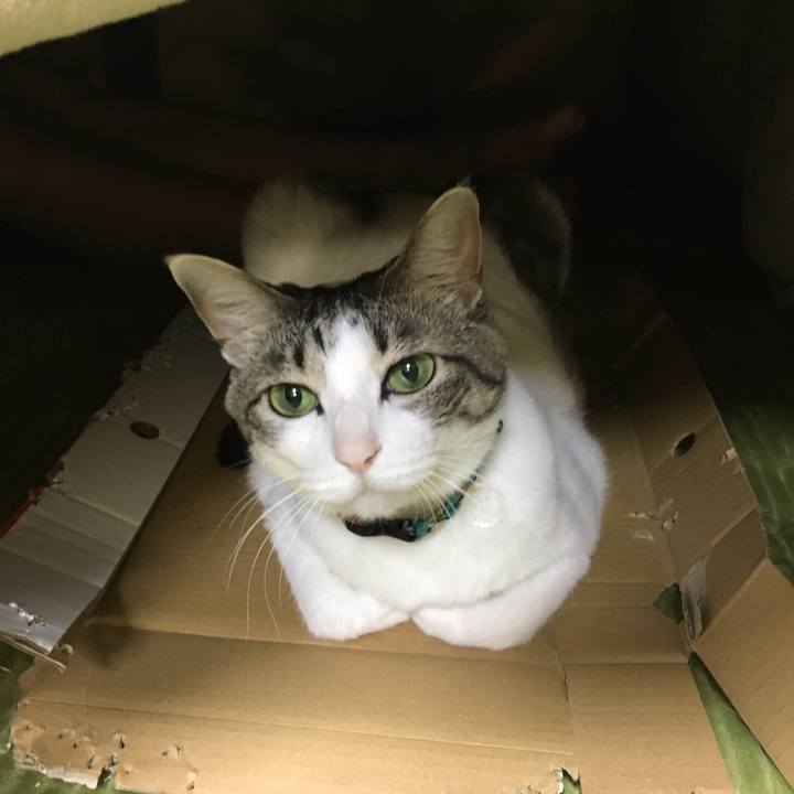 Ad58e885 d988 438b a049 febb477ce5ba 1552300261071