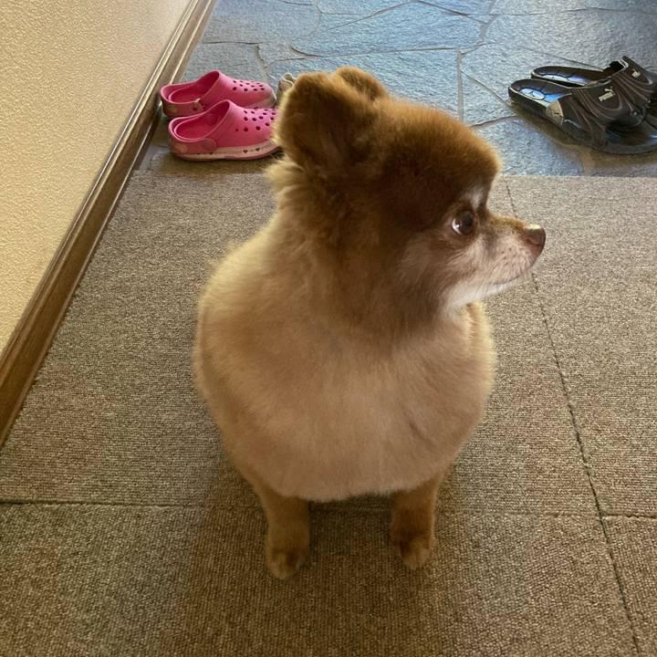 Ad58eadb f69c 47ce 9348 0ba3e38b128c 1662793329481