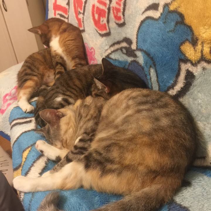 Ad58ed6f d361 4d41 b610 9b536dd2face 1571917418604