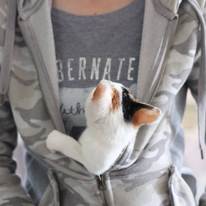 Ad58f39b f280 4a8c 8b78 2b14d40f0f63 1541374612936