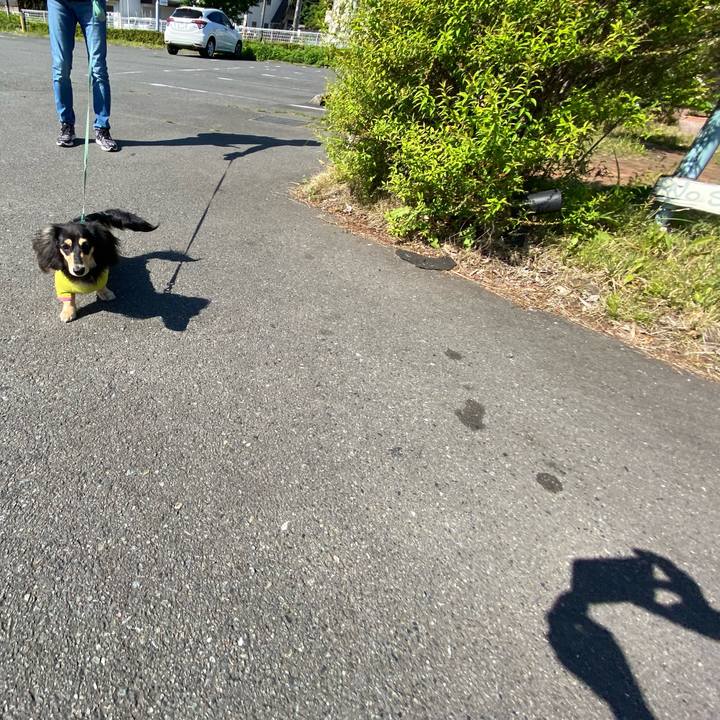 Ad5903a2 5f4d 44da 88c2 e105e7404bfd 1683081186535