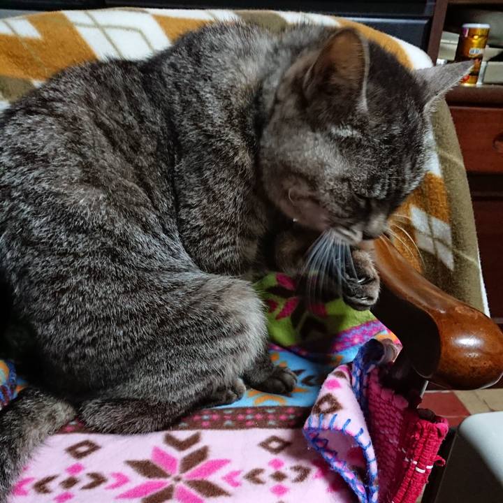 Ad591d82 4dfb 4ede 89c1 e579854b9944 1553342297793