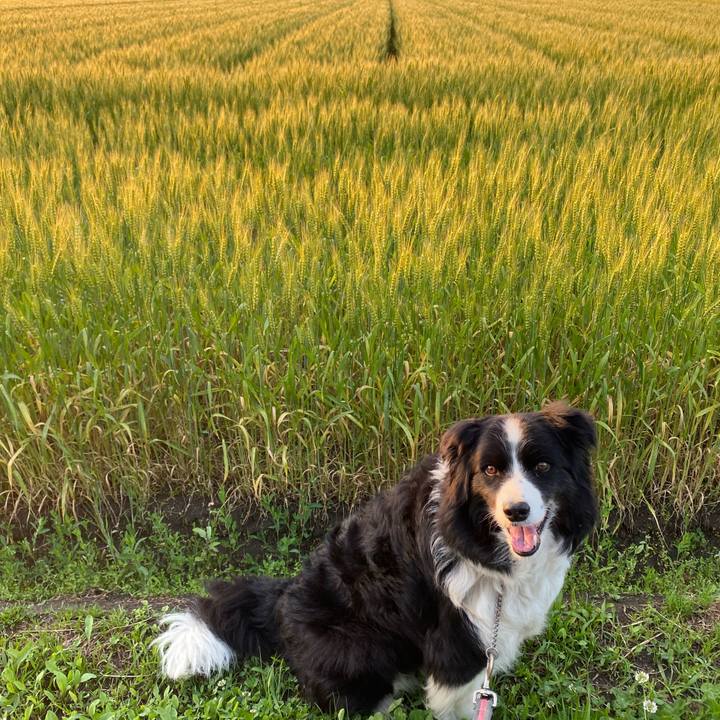 Ad5923d5 a62b 429f b9af 0738a0655f95 1619695785498