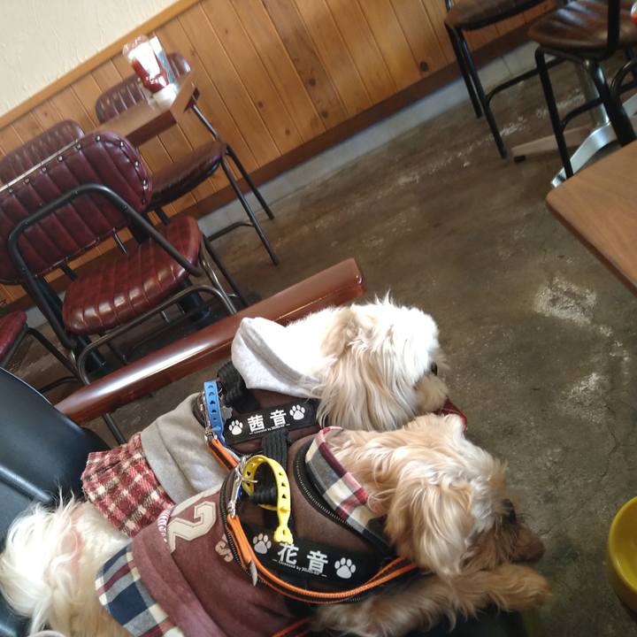 Ad593a89 8d37 407f 9a11 8e5c3b11810e 1638261101220