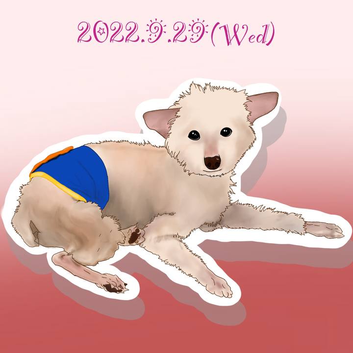 Ad597180 d0ad 4c2c bffe 2011aeac6fb1 1664445009437