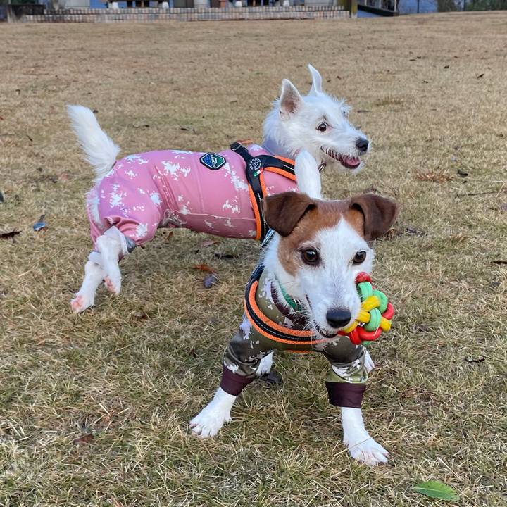 Ad597a38 7104 4fd4 8645 169fe4ab7bd4 1765929342118