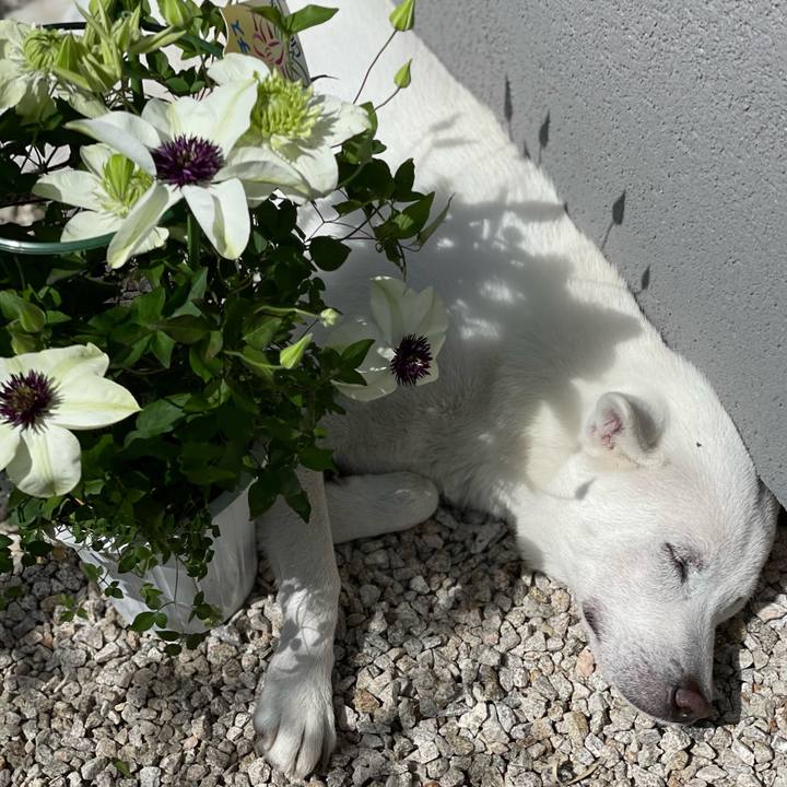 Ad597e48 c9e3 469e 8b65 88342c6aa55f 1682141204192