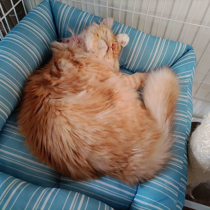 Ad5980e6 f8d6 47ef bcda c2c6fbdab273 1683238227038