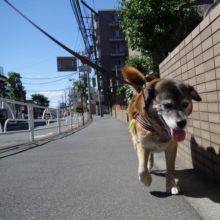 Ad59c917 c49f 4482 8d64 d8810f74bf0c 1526779840619