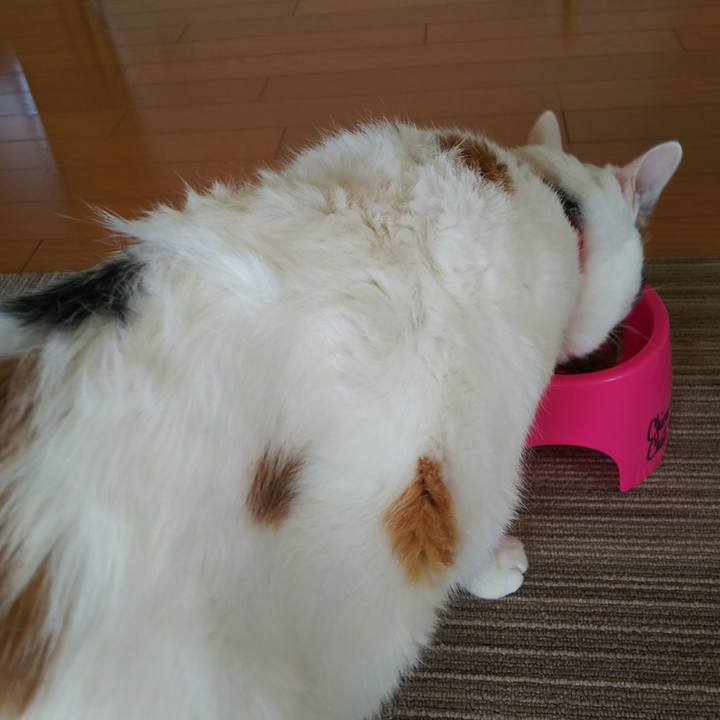 Ad59fc48 7346 48f8 95b4 5ad2d8a5afb6 1528416632528