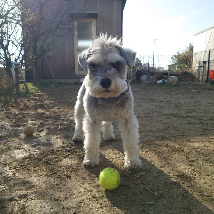 Ad5a1c2a 14bf 4964 8ba9 8c211fff2fb0 1775725888159