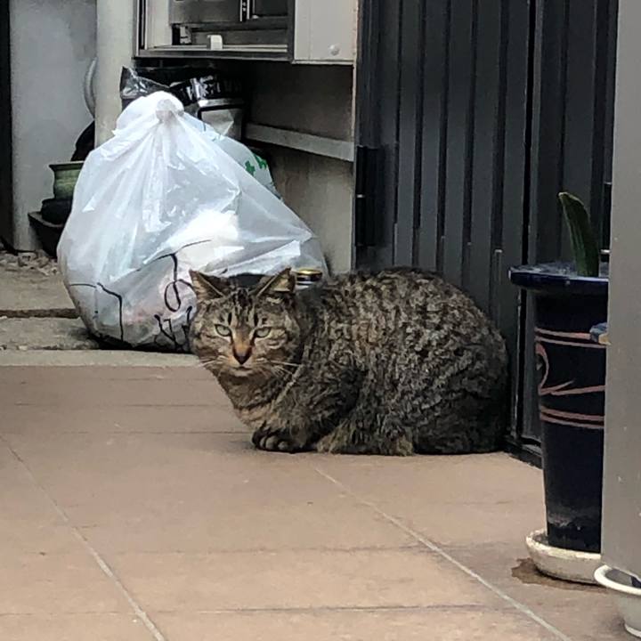 Ad5a3ea4 1f16 415a 9fb8 4d3d3e899d47 1556481315933