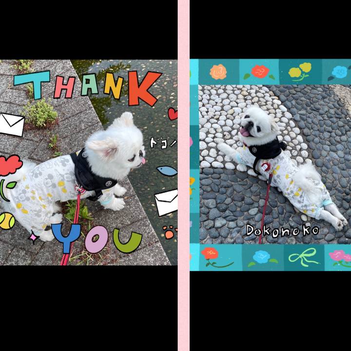 Ad5a4238 7551 4bdc 88d5 8c78bc6881fe 1715133609093