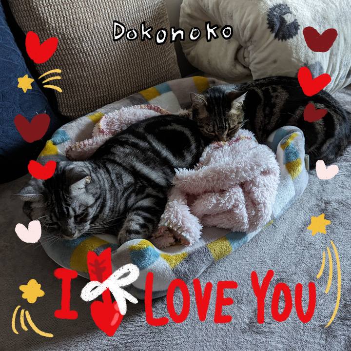 Ad5a9c1e 8225 4cbe b1fc cabfcb6844d2 1707004609069