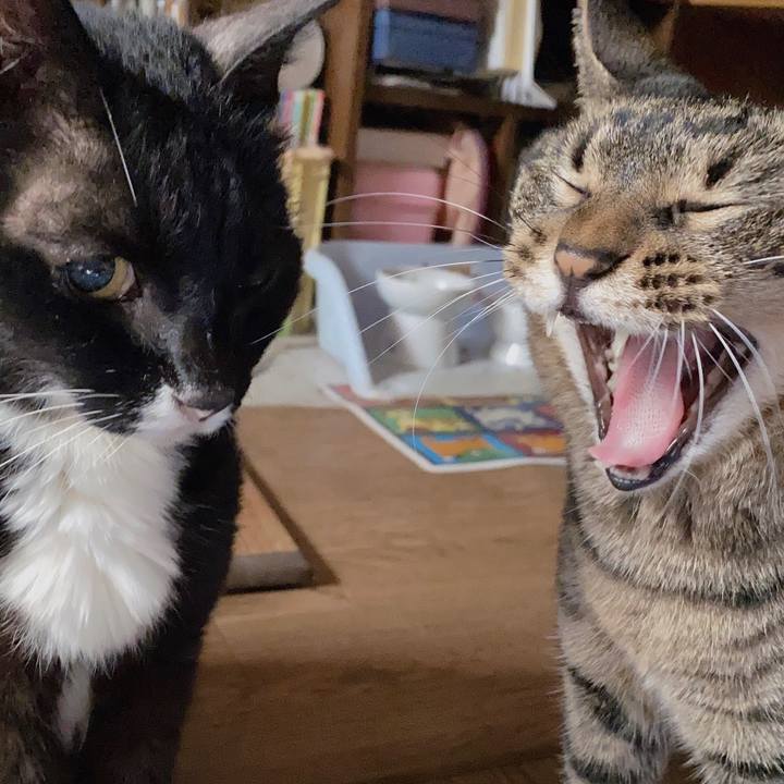 Ad5aa725 5fbf 487d bb25 49ffd5cac010 1599949204356