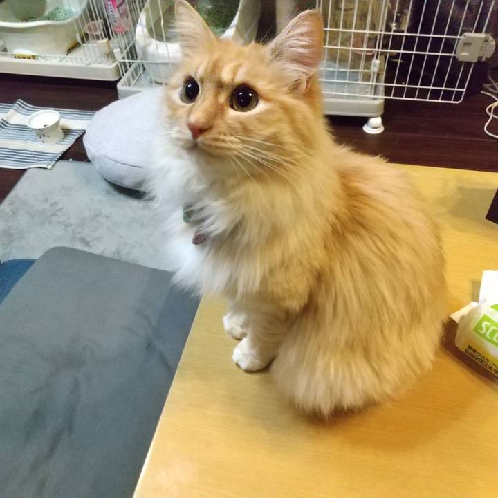 Ad5ab411 eb21 4945 948b 808eefb4b4d9 1650032552347