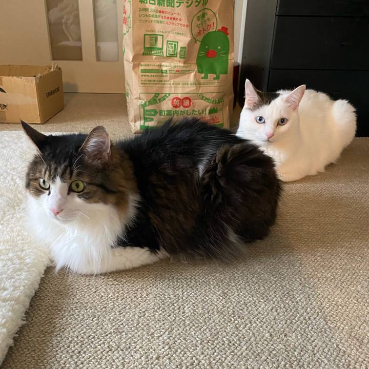 Ad5ac82b 08d3 4837 83c4 3114eb8d4392 1663625196657