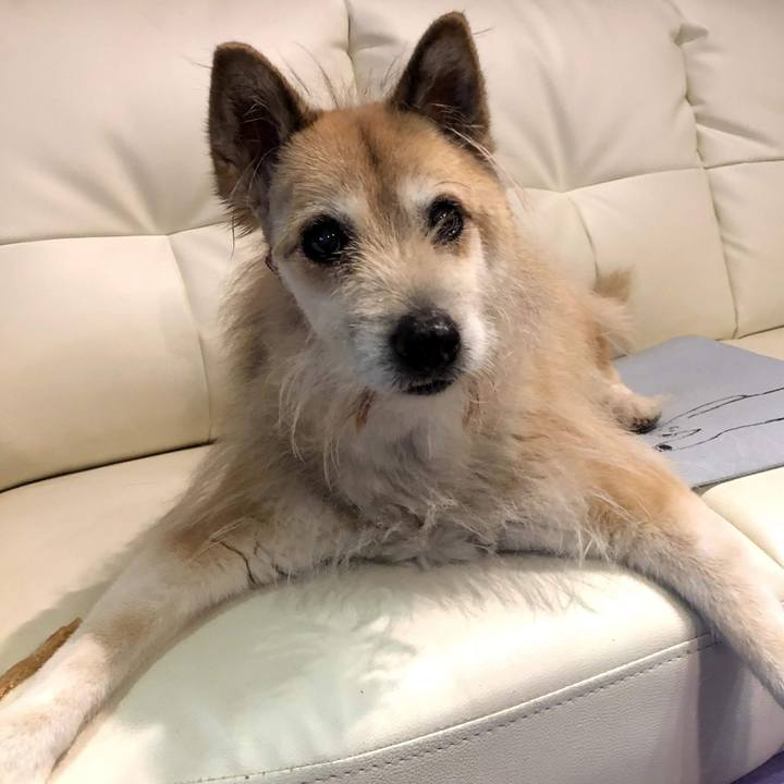 Ad5ac9bb 30e0 4211 a0ee 5e16116ed6d5 1583971288085