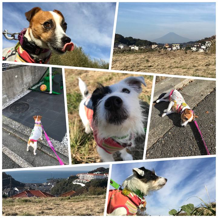 Ad5b4d21 37f8 44d8 a089 f110a83469d7 1509584285199